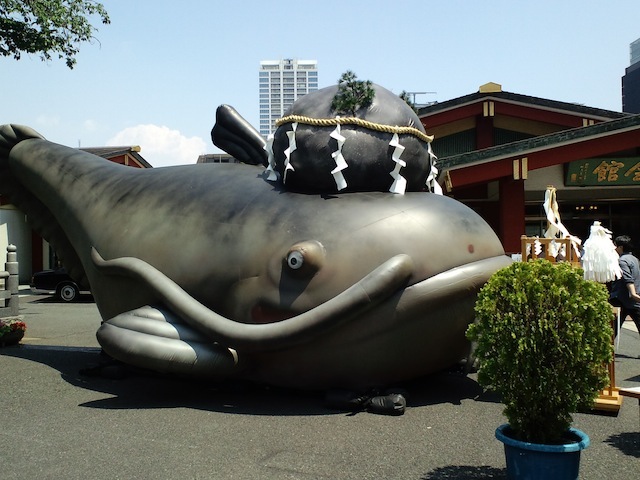なまず