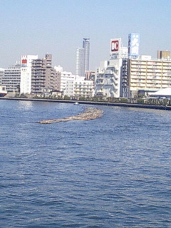 6-0214-3.jpg