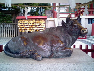 6-0302.jpg