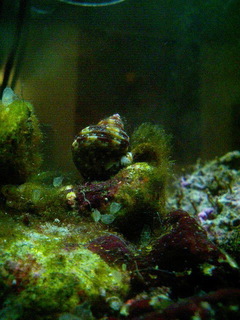 6-0413.jpg