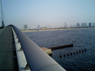 6-0508-2.jpg