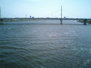 6-0509.jpg