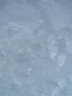 6-0609.jpg