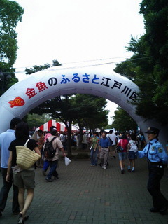 6-0724-2.jpg