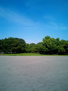6-0818-4.jpg