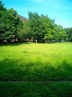 6-0818-5.jpg
