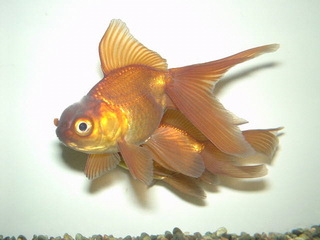 6-0908.jpg