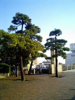 7-0115-2.jpg