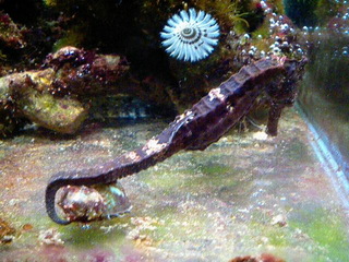 7-0306.jpg