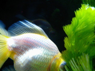 7-0309.jpg