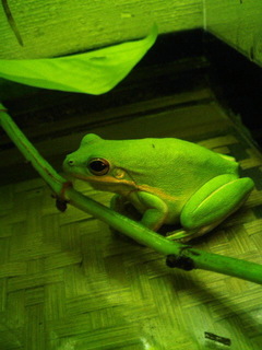 7-0315.jpg