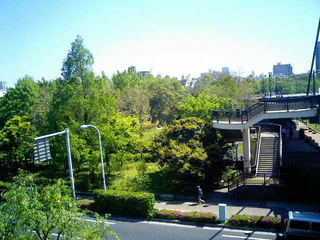 7-0507-2.jpg