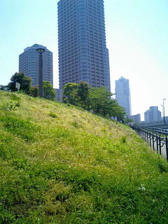 7-0507-4.jpg