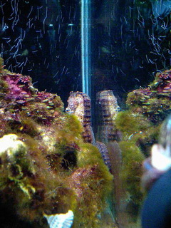 7-0607-3.jpg
