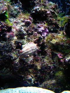 7-0607-5.jpg