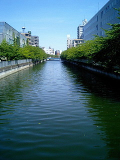 7-080903.jpg