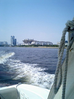 7-0827-4.jpg