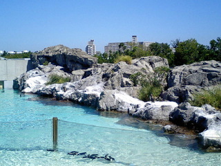 7-0926-2.jpg
