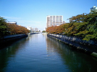 7-1105-2.jpg