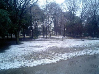 8-0123-4.jpg