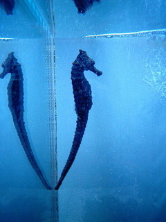 8-0215.jpg