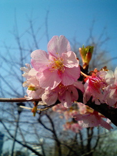 8-0303-2.jpg