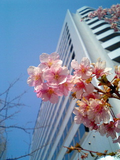 8-0303-3.jpg