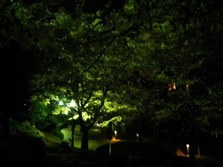 8-0403-3.jpg