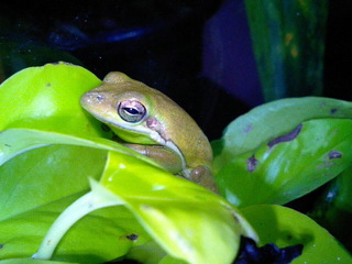 8-0425.jpg
