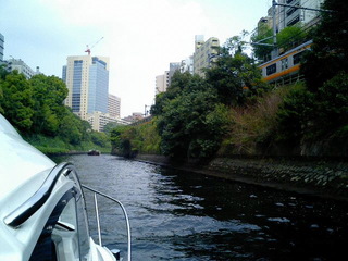 8-0501-5.jpg