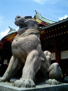 8-0527.jpg