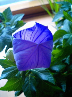 8-0619-2.jpg
