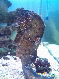 8-0630.jpg