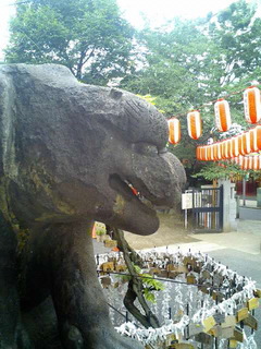 8-0710.jpg