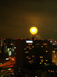 8-0811-5.jpg