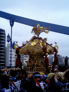 8-0819.jpg