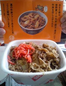 CA0214ushi.jpg