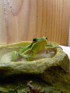 CA0302kero.jpg