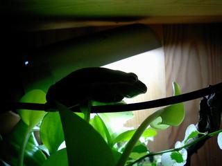 CA0324kero.jpg