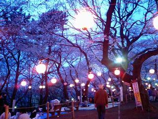 CA0406-hana.jpg