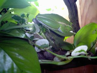 CA0414-kero.jpg