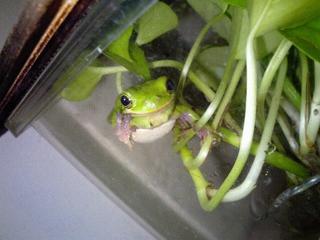 CA0502-KERO.jpg