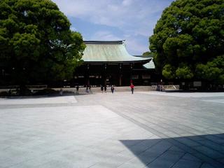 CA0510-1.jpg