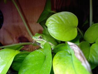 CA0519kero.jpg
