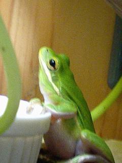 CA0617kero.jpg