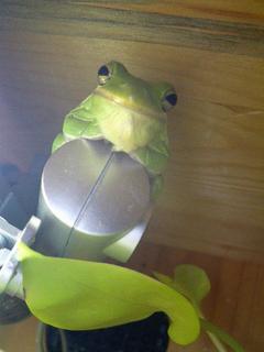 CA0629kero.jpg