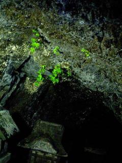 CA0830-3.jpg