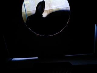 CA250002_1.JPG