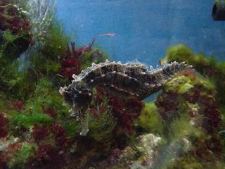 DSC00287.JPG