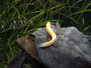 DSC00441.JPG